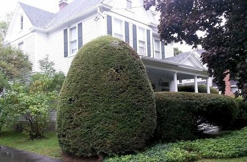 Park House Bed & Breakfast Johnson City 外观 照片